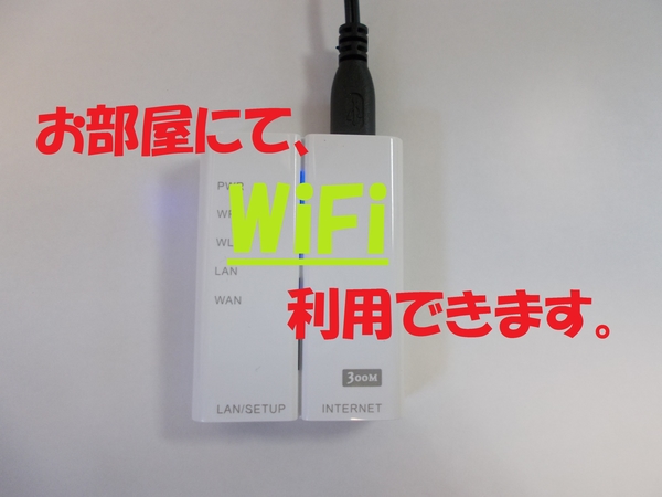 部屋とバスルームは広かったです - アーバネックス イン