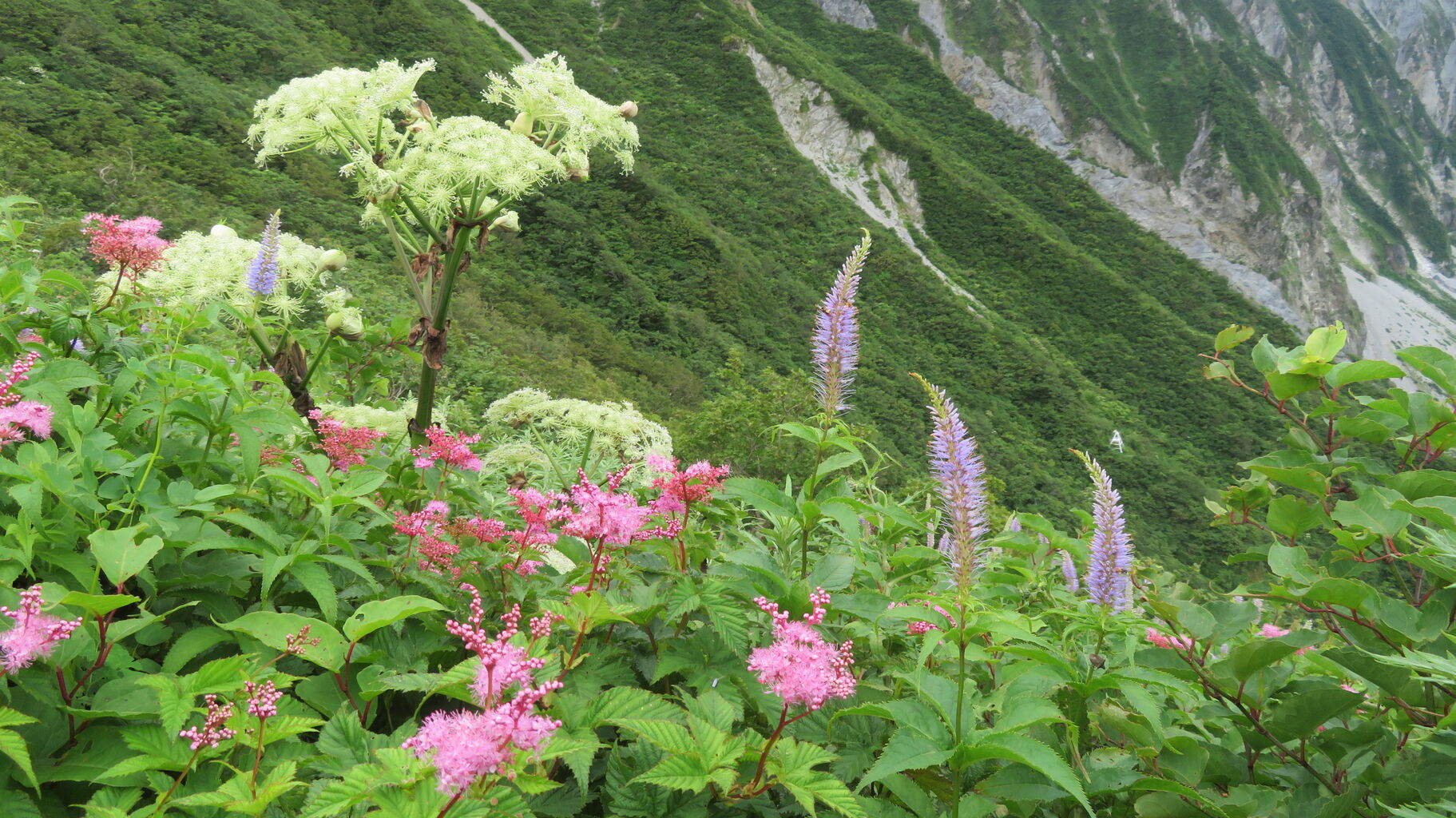 登山】船上山～勝田ヶ山～甲ヶ山～矢筈ヶ山～大休峠～川床・通称「琴浦アルプス」をあるく。【後編】｜大山ゲストハウス寿庵