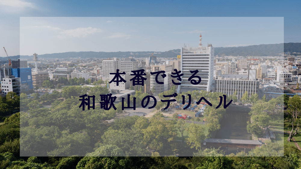 和歌山の裏風俗 新内（アロチ）の本サロを調査