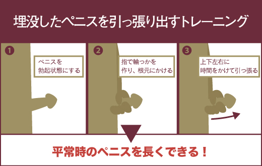 チントレ (ちんとれ)とは【ピクシブ百科事典】