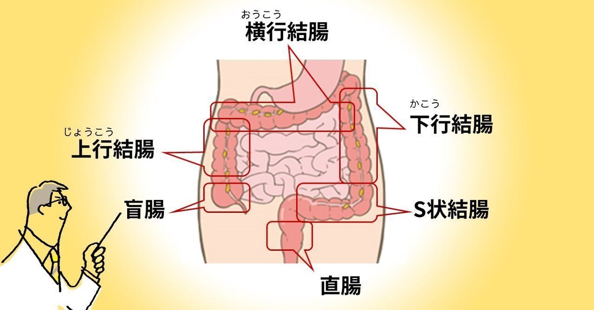 全部18禁】奥までズチュンッッ!!!結腸・尿道・前立腺全部責めBL、ここにあります｜BLニュース ちるちる