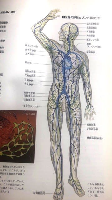 基幹型臨床研修病院として｜立川相互病院