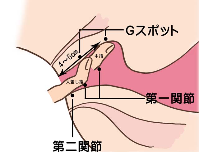 手マンで潮吹きさせるやり方とコツとは？女性が気持ち良くなるテクニックを伝授【男性向け】 | オトナのハウコレ