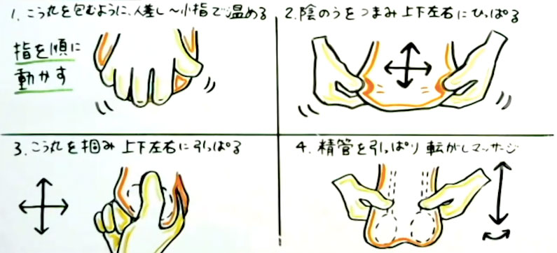 ジャップカサイ（睾丸マッサージ）とは？施術内容や効果を紹介 - タダリザーブ｜月額無料で使える予約管理システム