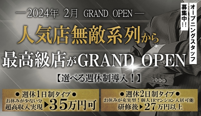 海綿 個包装 HOKUTO ジップロック袋付き 天然