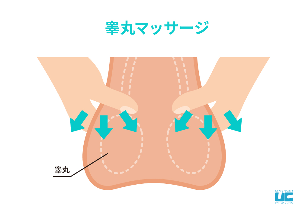 ED（勃起不全・勃起障害）とは｜どのような病気か解説