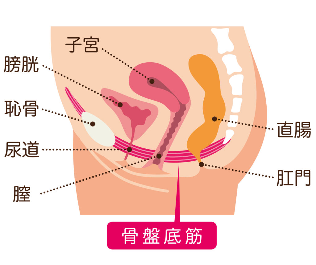 公益財団法人 エイズ予防財団 |