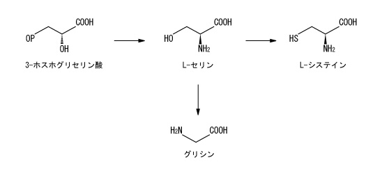 Amazon.co.jp: 最推しはお嬢様（２） (リュエルコミックス) : せりん: