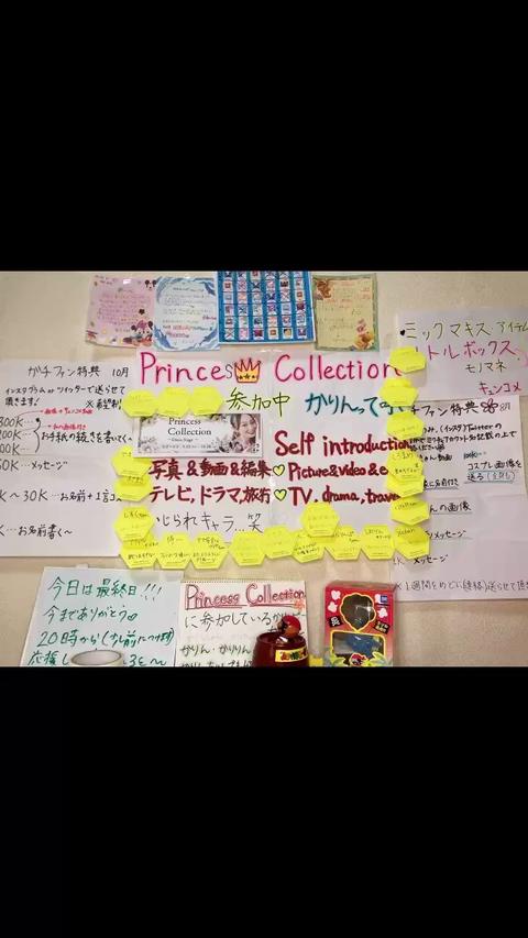 Princess Collection -