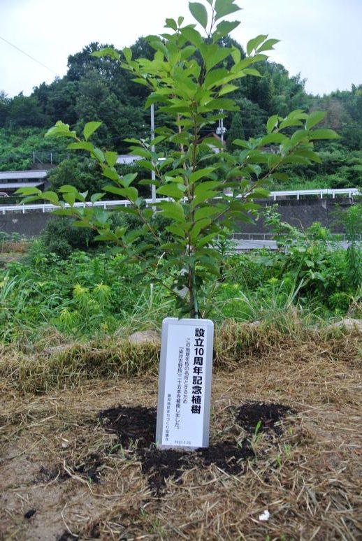 ももクロ・高城れにさんのパープルメイク。透け色ラベンダーでヘルシーな表情に | マキアオンライン(MAQUIA ONLINE)