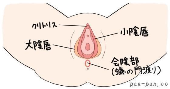 セックスの基本手順とは？ 前戯・挿入・後戯の流れとやり方【医師監修】｜「マイナビウーマン」