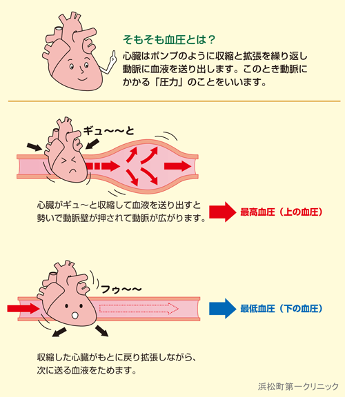 チントレの方法って？勃起力などを改善！- 夜の保健室