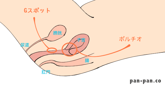 手マンで女性を満足させるコツを徹底解説！手マンの正しいやり方も｜大阪の高級デリヘル casa Bianca