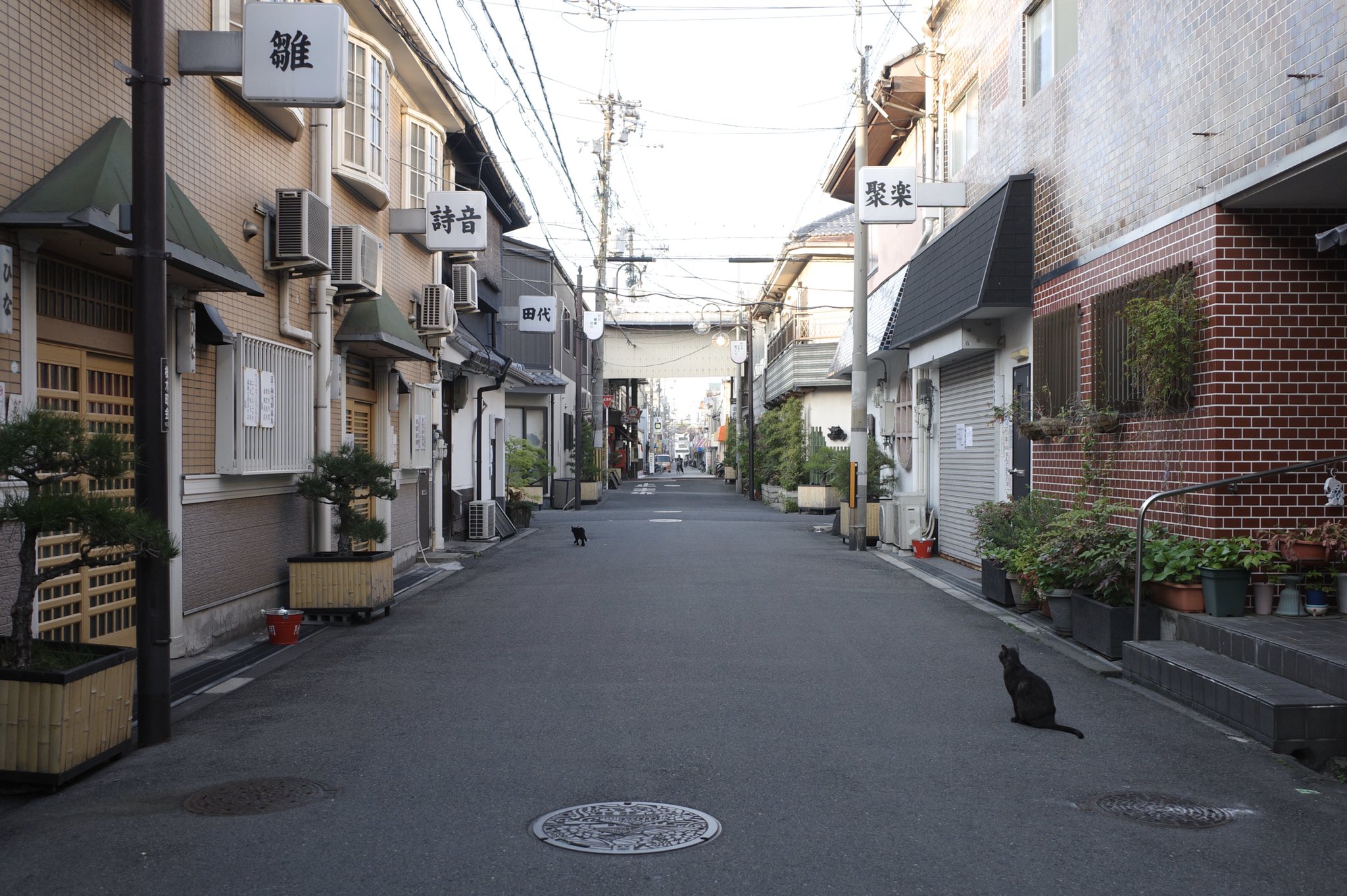 飛田新地 料金と場所 -