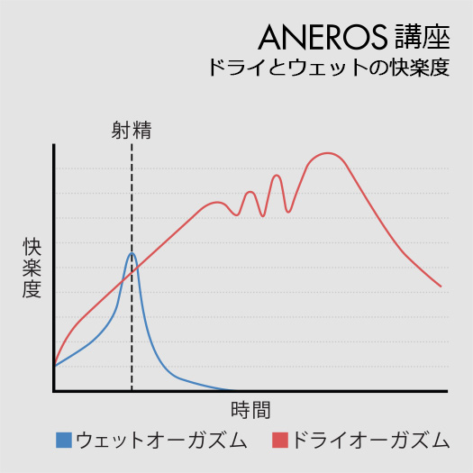 はじめてのドライオーガズム - アダルト本通販｜大人のおもちゃ通販大魔王