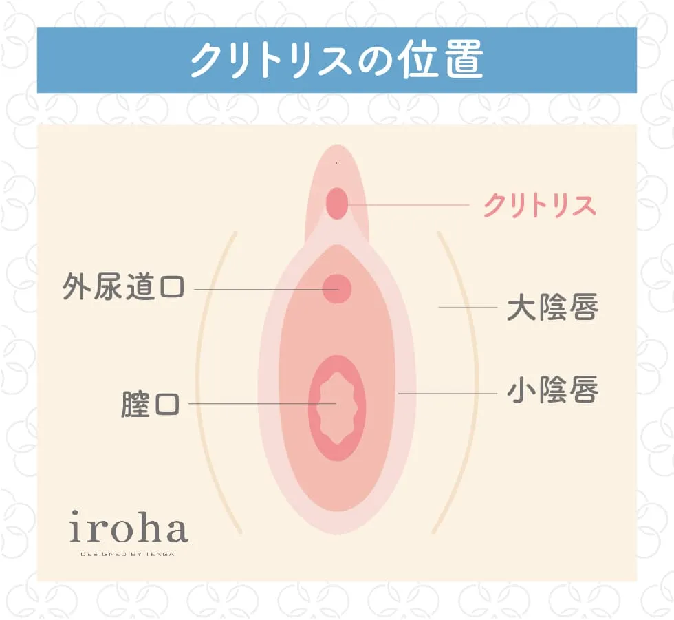 筋トレとオナニーの関係を徹底解説！筋肉への影響、適切な頻度やタイミング｜風じゃマガジン