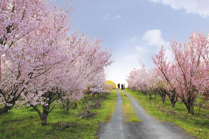 開店】一挙7店舗！？松木『イオンタウン郡山』内に仮設店舗『FESTA VILLAGE イオンタウン郡山 （フェスタ