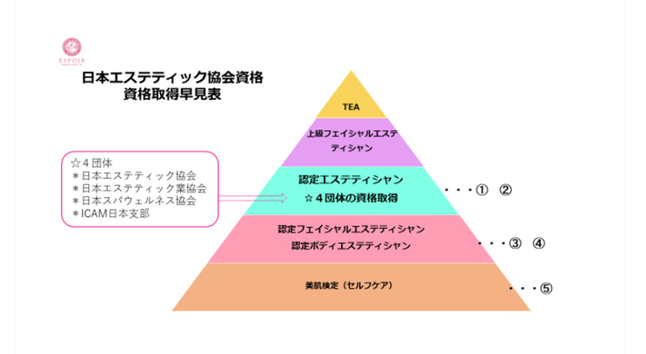 リンパケアセラピスト資格とは？種類やおすすめのマッサージ資格 | SARAスクール