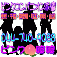 対応エリアと送迎車両代詳細