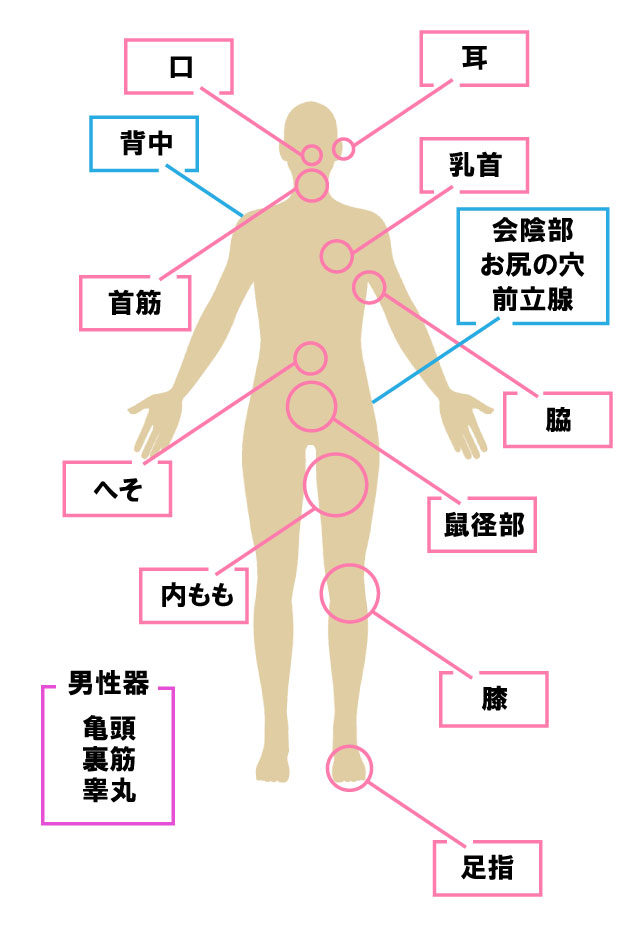 前立腺刺激＆金玉責め リング付き 9種類振動