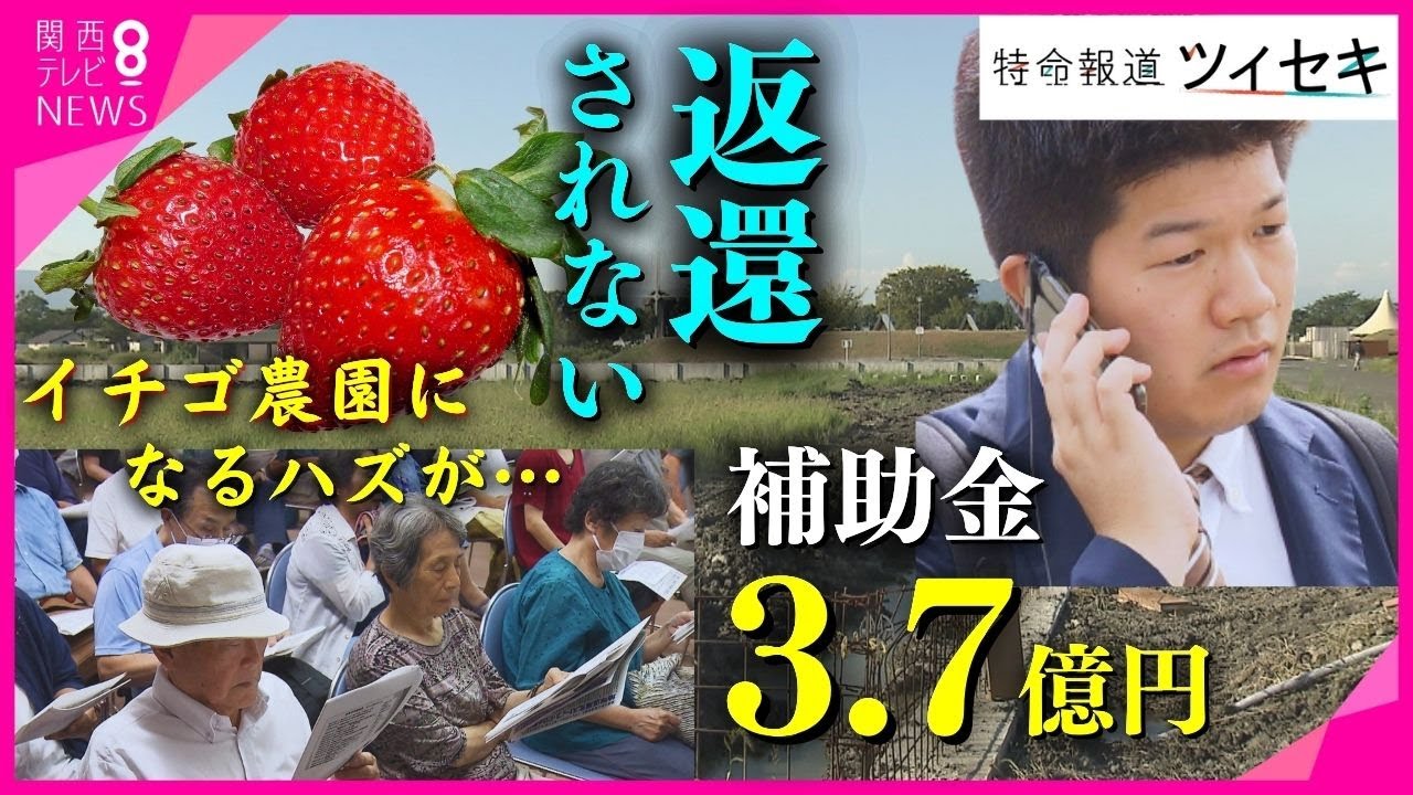 公式】ECC学園高等学校〔通信制〕 | 【縁日】 エンジョイ・デイで縁日をしました⛱ かき氷🍧にクレープ🍰にあひるちゃん🦢