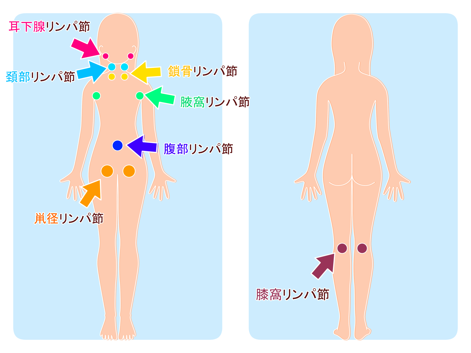 美脚効果♡鼠径リンパストレッチ | 尼崎市のリンパマッサージ│Salond LIA（サロンドリア）