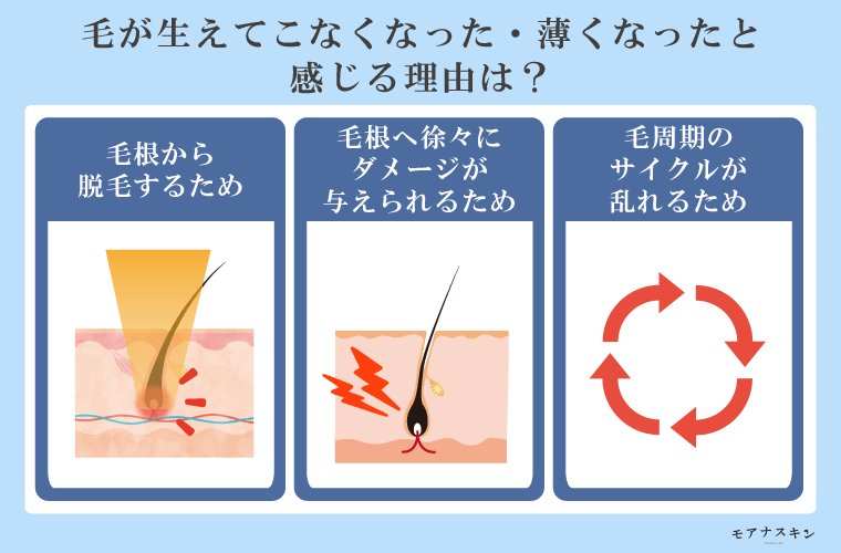 ブラジリアンワックスでVIO脱毛を続けると生えてこない？セルフケアも紹介｜表参道・南青山の高級脱毛メンズクララクリニック