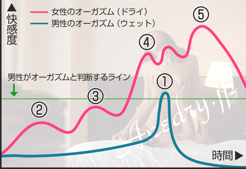 解説動画付き！！！】密着実践！ドライオーガズム〜一生モノの技術こと「男のGスポット開発」をたった74分でマスター！！〜(空心菜館) - FANZA同人