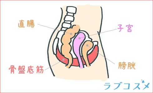 いまこそ、大人の性教育。【Lesson #8】『もしかして緩い…？』実際にクリニックへ行ってみた。 | Hanako Web