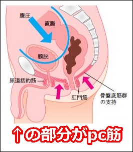 男ドライオーガズムのやり方・コツ大公開！絶頂の条件がここにある！