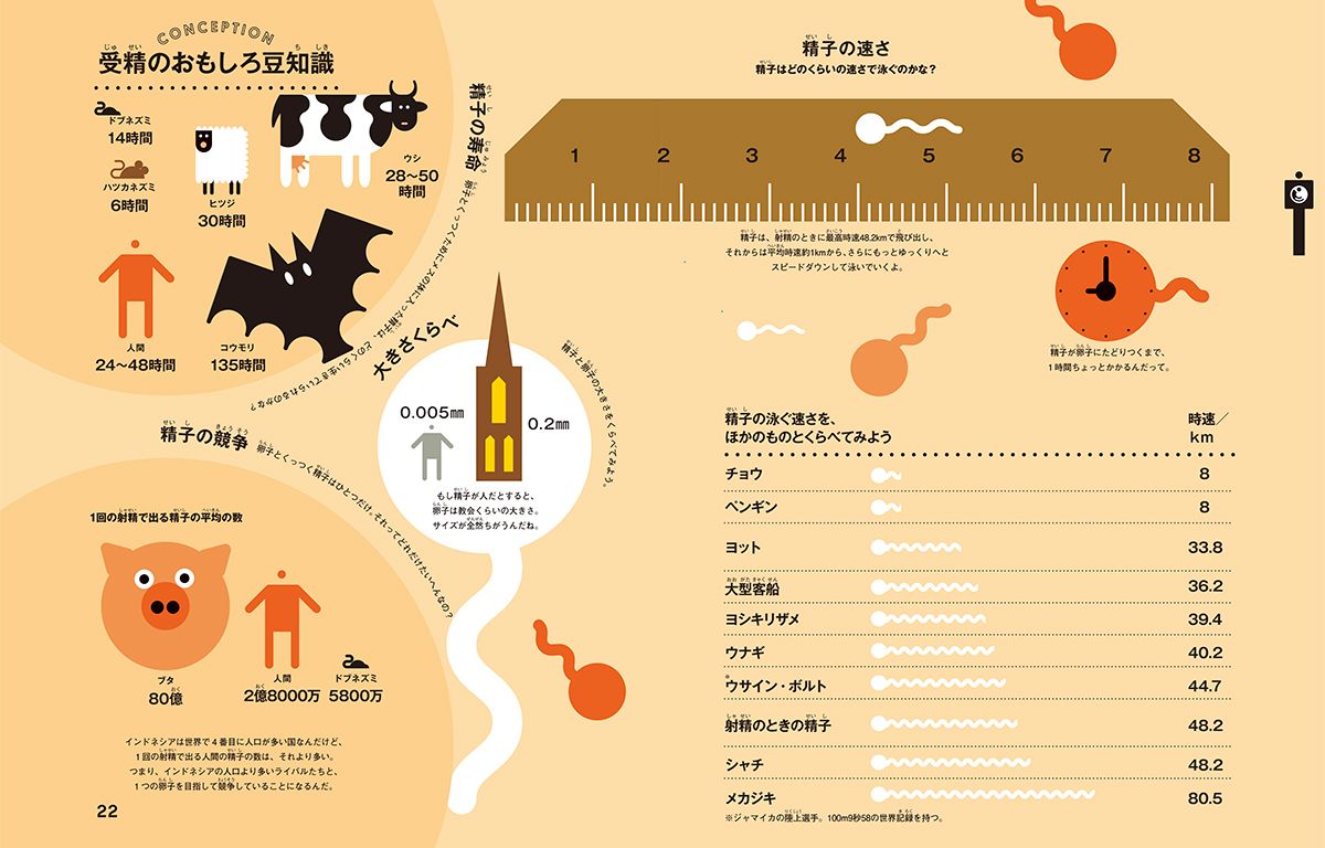 世界最大の巨根！その他世界記録の数々！ – 熊本風俗丸秘ブログ