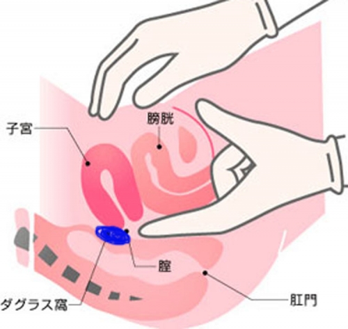 膣の位置は年齢で変わる！？上付き、下付きについて婦人科医に聞きました。 | ランドリーボックス