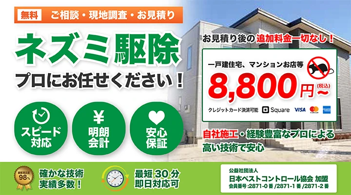 ウェルスクエア中延Ⅱ 303号室【仲介手数料無料】1LDK/3階/32.63㎡/南向き｜エアドア -