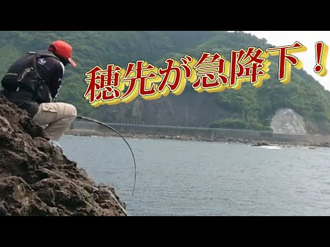 みさき爺の釣り日記