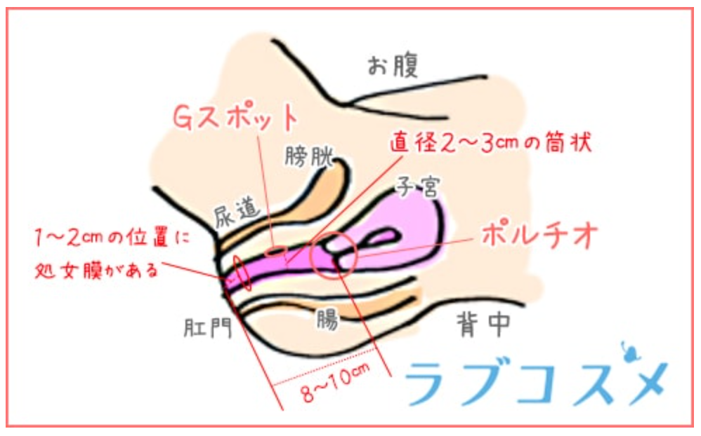 削除覚悟】ヤバすぎるタイ人男性１０の特徴 性格やチン長は？浮気、恋愛、仕事、エッチ、ゲイ比率、身長についてすべて暴露します - ねこがみの海外移住ブログ