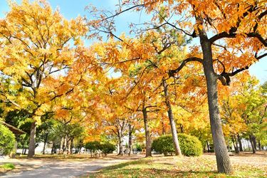 東久留米駅の有料老人ホーム・介護施設（理美容サービス）【クチコミ・空室情報を見る】 | ロイヤル介護