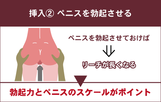 本当に穴がどこかわからないです。処女ですが生理はちゃんとありますしあるはずな - Yahoo!知恵袋