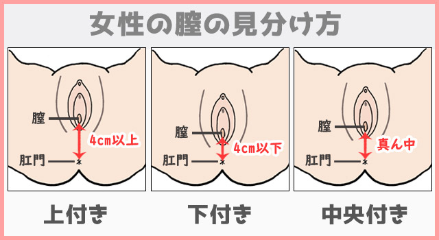 最高に気持ちいい『セックス体位』とは！ - 夜の保健室