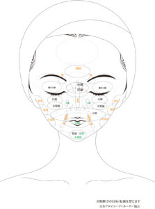 資格取得】フェイシャルコース | 一般社団法人 美療矯正協会