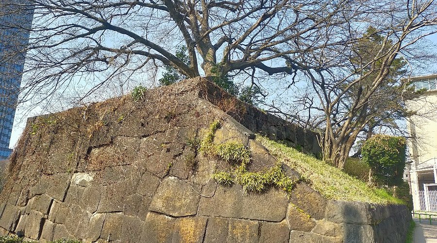 京都】評判の良いおすすめの矯正歯科40院🦷失敗しないマウスピース矯正の選び方【歯科医師監修 | 2024年11月最新版】 |