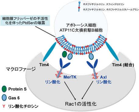 対談 Vol.004 「スペースマーケットに聞くリピーター獲得の秘訣」facing株式会社×株式会社スペースマーケット