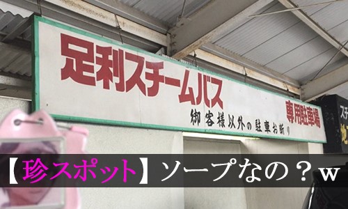 足利市駅の風俗求人(高収入バイト)｜口コミ風俗情報局