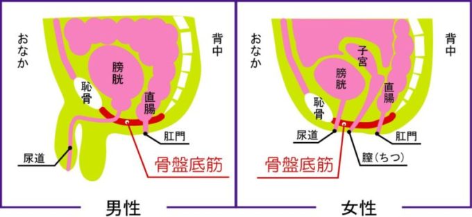 椅子の下でクリトリスを綿棒でしつこく丁寧に責めてくれるクリトリラクゼーションサービス | おものべ | 快楽責めと連続絶頂のエロ小説&イラストのサイト