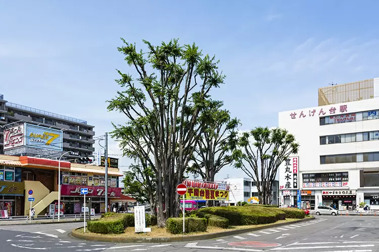 東武伊勢崎線 – 北越谷駅｜駅カタログ2018