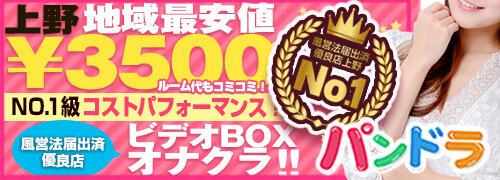 秋葉原 鑑賞ガール（アキハバラカンショウガール）［上野 オナクラ］｜風俗求人【バニラ】で高収入バイト