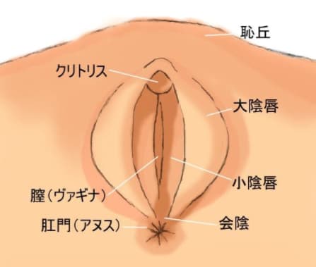 マンコの味はどんな感じ？：膣の味を良くする方法 - PPNude