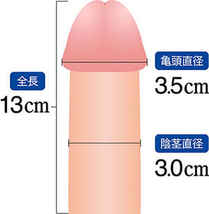 男性器の大きさについて｜大東製薬工業株式会社