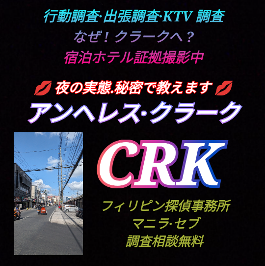 半分ひとり旅〙フィリピン3泊4日 DAY2 マニラからパングラオ島へ ホテルのビーチで夜遊び｜旅するマティーニ traveling