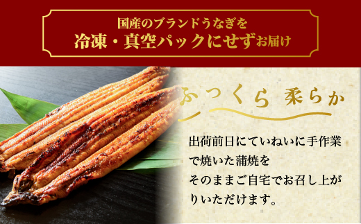 特選 うなぎ蒲焼き2尾＋うなぎ白焼き2尾 計4尾（120g以上×4尾） | メディアに紹介されたうなぎ屋