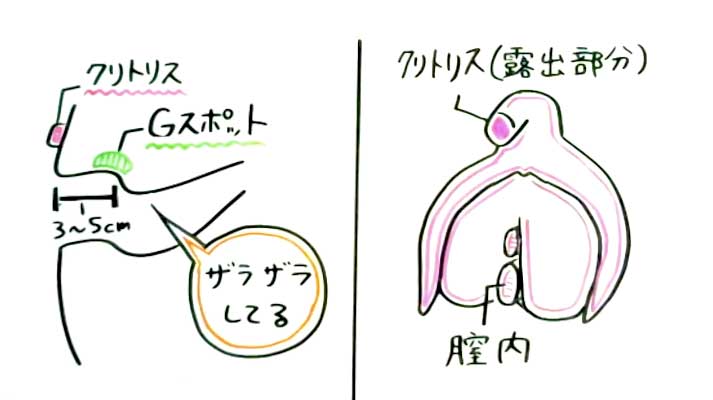 後背位（バック）のやり方を画像で解説 | 寝バック・立ちバックなども紹介